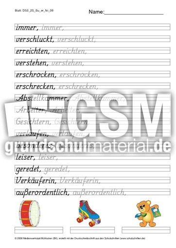 DSS_2S_Bu_er_Nr_08.pdf